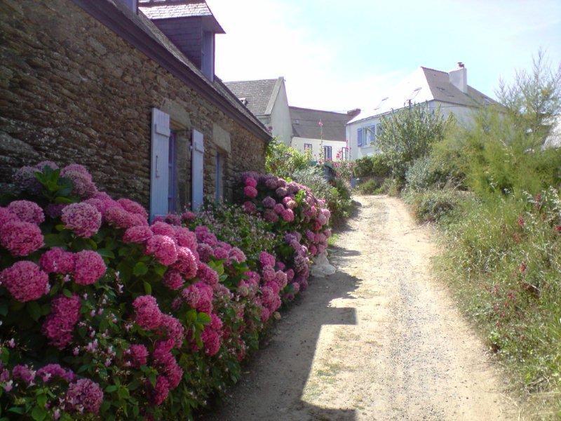 La Breizh'Ilienne Villa Groix Exterior foto